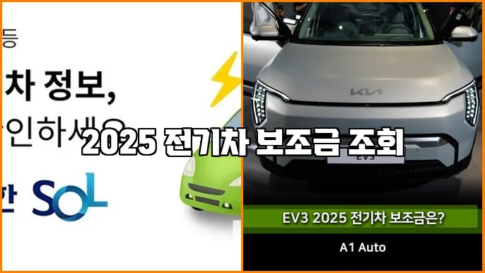 2025 전기차 보조금 조회