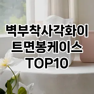 [할인제품]벽부착사각화이트면봉케이스 추천 순위  TOP10 구매가이드 2025년 7월 5주차