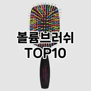 [레알핫템]볼륨브러쉬 추천 순위  TOP10 구매가이드 2025년 7월 5주차