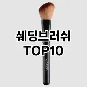 [리뷰리뷰]쉐딩브러쉬 추천 순위  TOP10 구매가이드 2025년 7월 4주차
