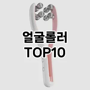 [레알핫템]얼굴롤러 추천 순위  TOP10 구매가이드 2025년 7월 4주차