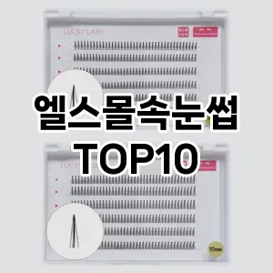 [리뷰보셈]엘스몰속눈썹 추천 순위  TOP10 구매가이드 2025년 7월 3주차