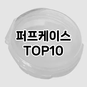 [추천리뷰]퍼프케이스 추천 순위  TOP10 구매가이드 2025년 7월 3주차