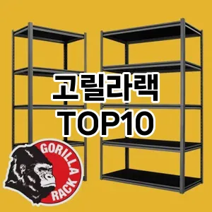 [특가제품]고릴라랙 추천 순위  TOP10 구매가이드 2025년 9월 1주차