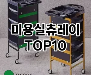[제품알림]미용실츄레이 추천 순위  TOP10 구매가이드 2025년 8월 4주차