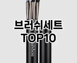 [추천안내]브러쉬세트 추천 순위  TOP10 구매가이드 2025년 8월 4주차