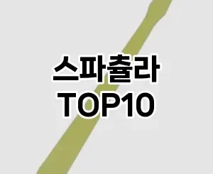 [리얼후기]스파츌라 추천 순위  TOP10 구매가이드 2025년 8월 4주차