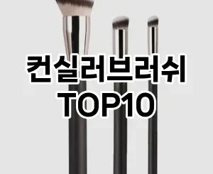 [레알핫템]컨실러브러쉬 추천 순위  TOP10 구매가이드 2025년 8월 4주차