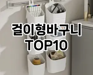 [후기보셈]걸이형바구니 추천 순위  TOP10 구매가이드 2025년 9월 5주차