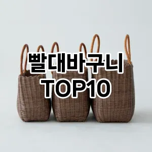 [리얼후기]빨대바구니 추천 순위  TOP10 구매가이드 2025년 9월 5주차