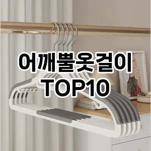 [진짜후기]어깨뿔옷걸이 추천 순위  TOP10 구매가이드 2025년 9월 5주차