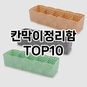 [봐보세요]칸막이정리함 추천 순위  TOP10 구매가이드 2025년 9월 1주차