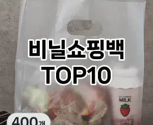 [진짜리뷰]비닐쇼핑백 추천 순위  TOP10 구매가이드 2025년 10월 4주차