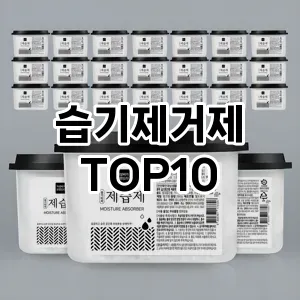 [추천안내]습기제거제 추천 순위  TOP10 구매가이드 2025년 10월 1주차