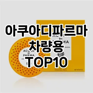 [리뷰보셈]아쿠아디파르마차량용 추천 순위  TOP10 구매가이드 2025년 10월 1주차