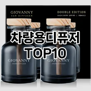 [리얼후기]차량용디퓨저 추천 순위  TOP10 구매가이드 2025년 10월 1주차