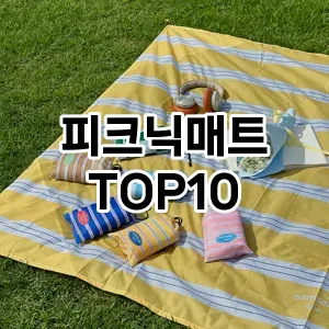 [솔직후기]피크닉매트 추천 순위  TOP10 구매가이드 2025년 10월 1주차