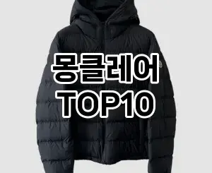 [추천안내]몽클레어 추천 순위  TOP10 구매가이드 2025년 11월 5주차