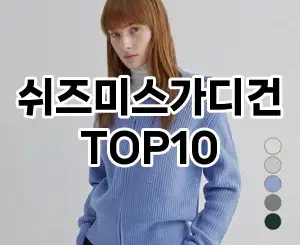 [할인추천]쉬즈미스가디건 추천 순위  TOP10 구매가이드 2025년 11월 5주차