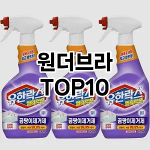[추천리뷰]원더브라 추천 순위  TOP10 구매가이드 2025년 11월 5주차