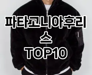 [강력추천]파타고니아후리스 추천 순위  TOP10 구매가이드 2025년 11월 5주차