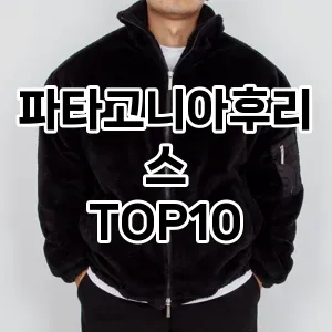 [강력추천]파타고니아후리스 추천 순위  TOP10 구매가이드 2025년 11월 5주차