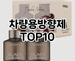[진짜리뷰]차량용방향제 추천 순위  TOP10 구매가이드 2025년 12월 5주차
