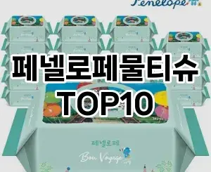 [특가추천]페넬로페물티슈 추천 순위  TOP10 구매가이드 2025년 12월 2주차