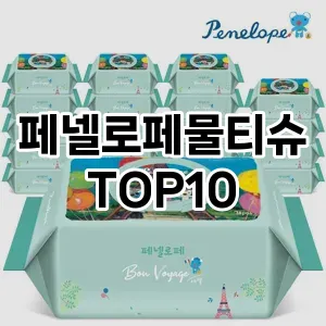 [특가추천]페넬로페물티슈 추천 순위  TOP10 구매가이드 2025년 12월 2주차