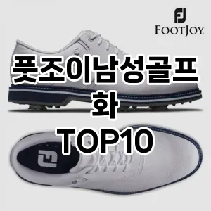 [추천특가]풋조이남성골프화 추천 순위  TOP10 구매가이드 2025년 12월 2주차